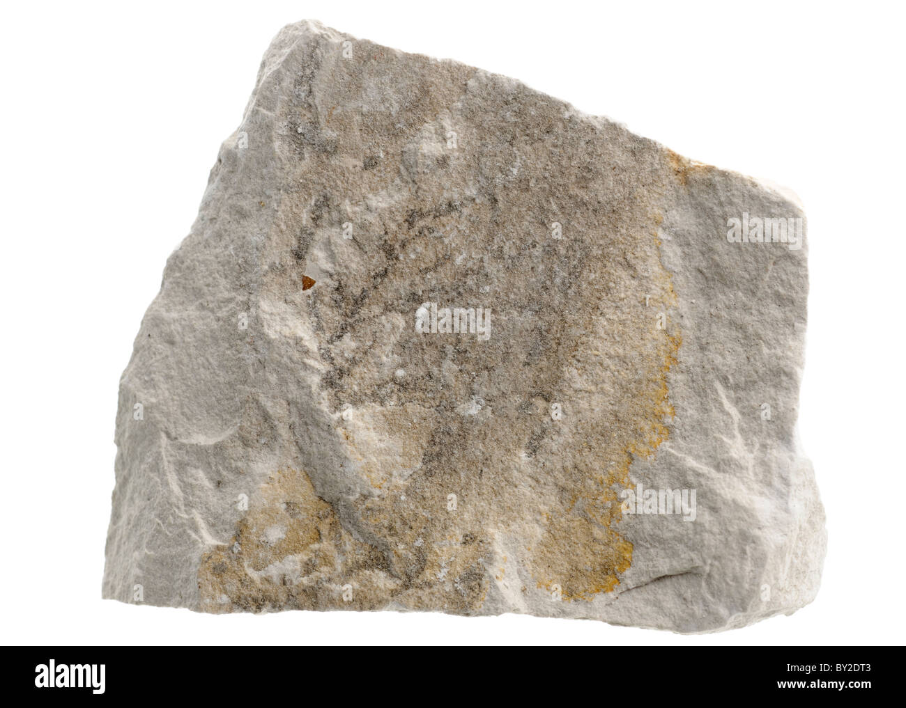 La craie. Échantillon de roche sédimentaire Banque D'Images