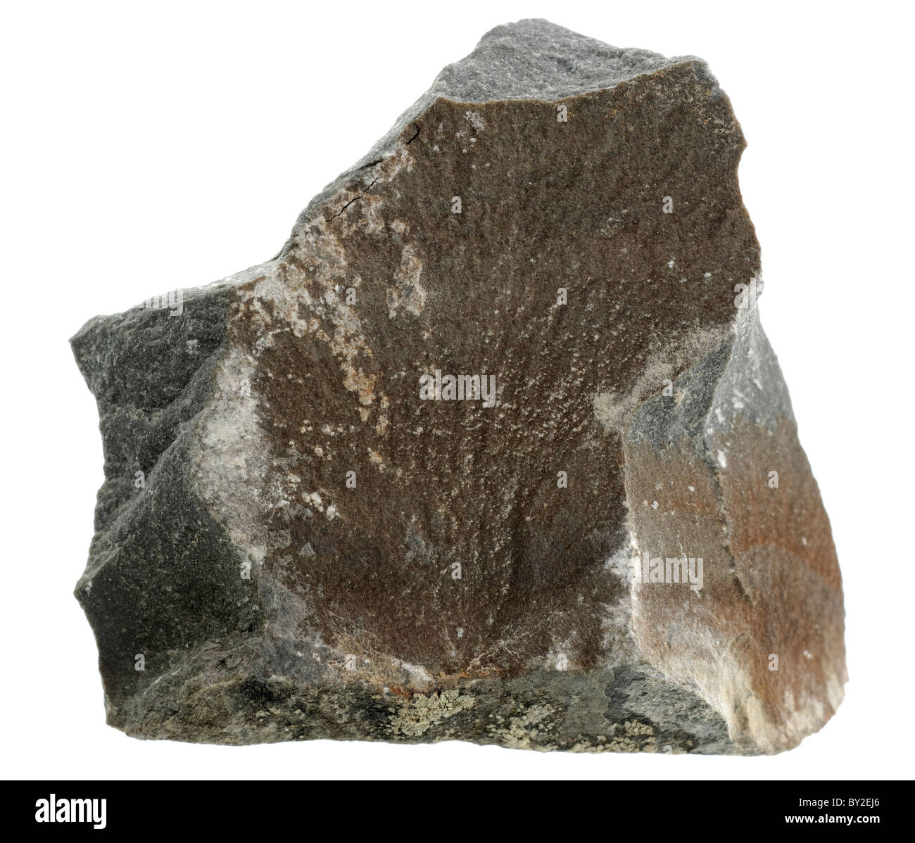 Grès grauwacke. Échantillon de roche sédimentaire Banque D'Images