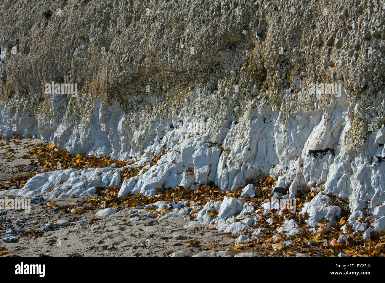 Roche roches calcaire craie falaises falaise falaise rocheuse de l'érosion de la géologie du parc national de Jasmund Mer Baltique l'île de Rügen Rügen Banque D'Images
