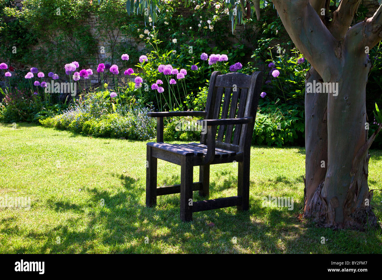 Une assise en bois dans un coin ombragé sous un arbre dans un jardin d'été Anglais Banque D'Images