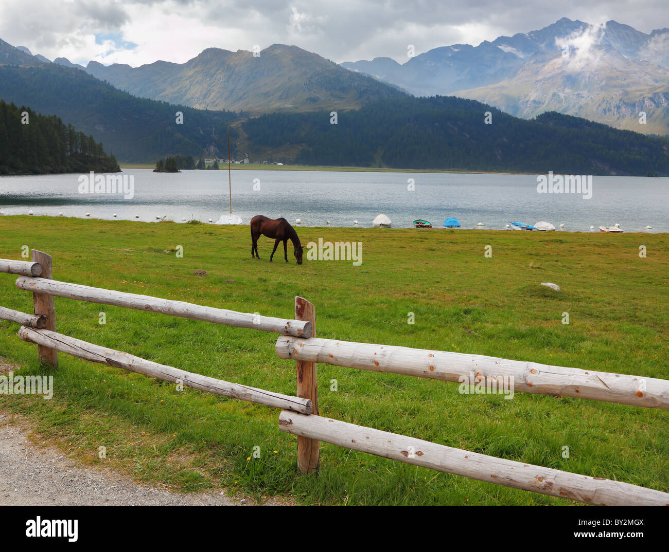 Clôture rurale le long de la rive du lac. Pur-sang élégant bay près de la calèche yachts amarrés Banque D'Images