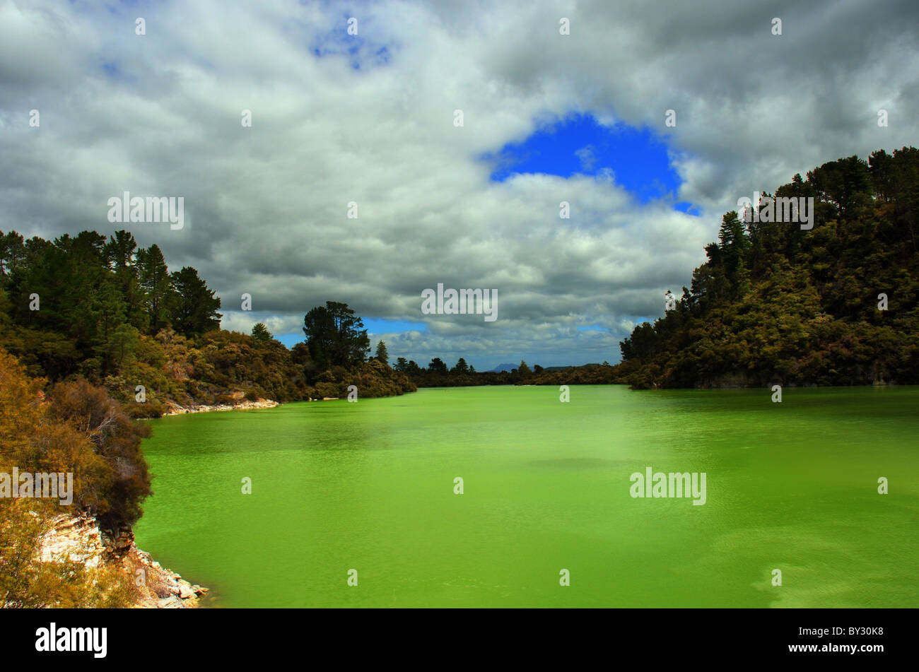 Le vert émeraude des lacs à Wai-o-tapu en Nouvelle Zélande Banque D'Images