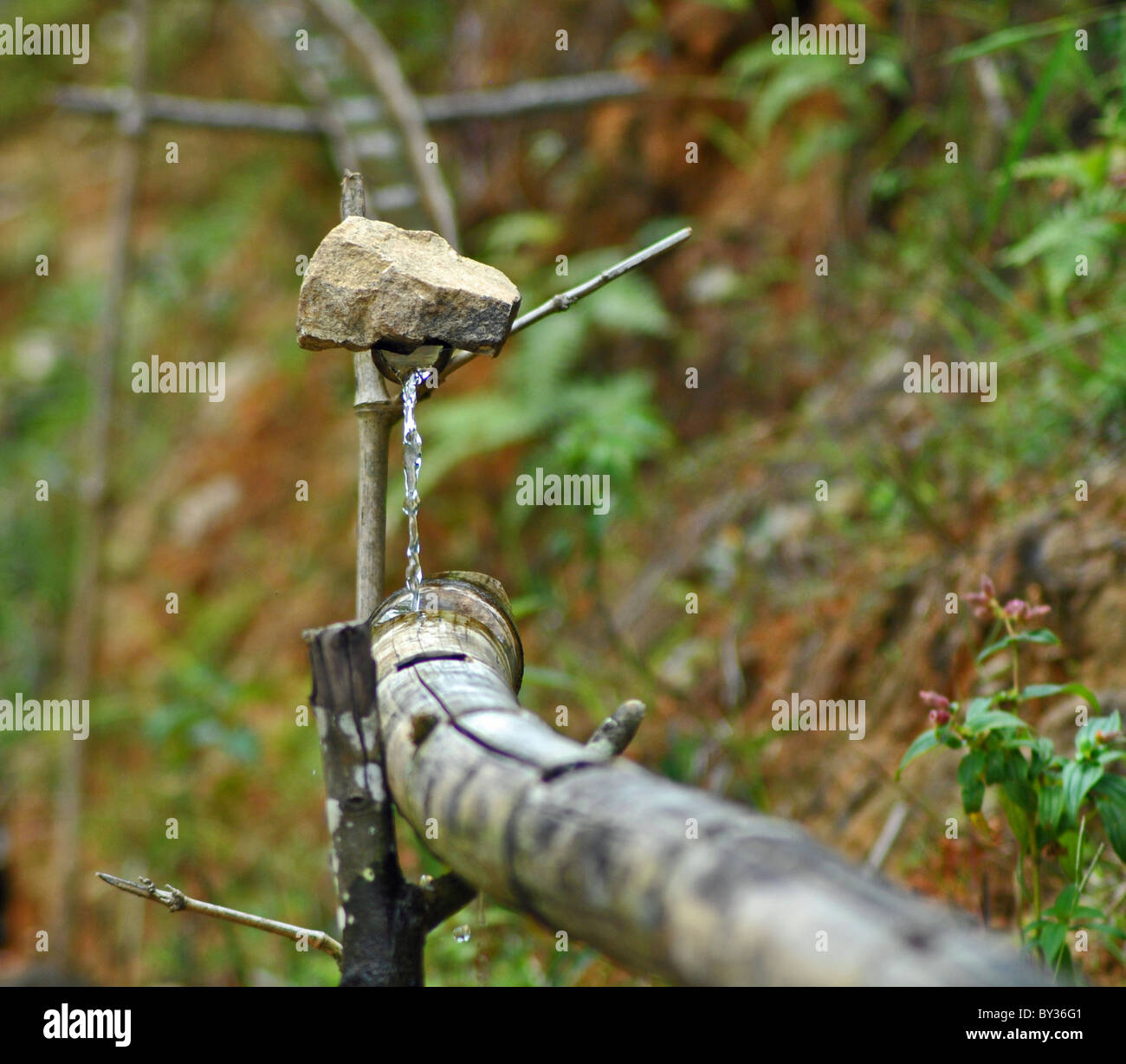 Système d'irrigation primitif, Vietnam Banque D'Images