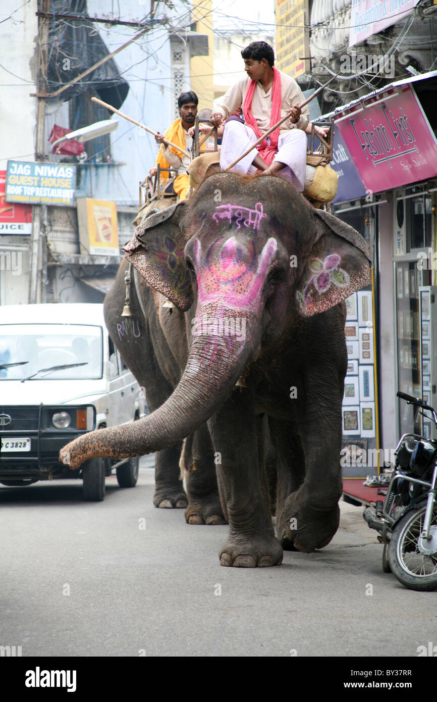 Cornacs éléphants peints de conduite, Udaipur, Inde Banque D'Images
