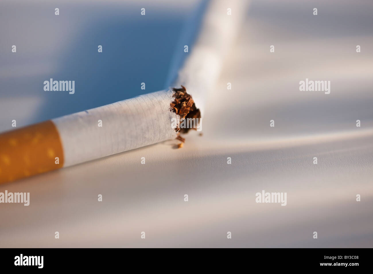 Cigarette brisée sur fond blanc Banque D'Images