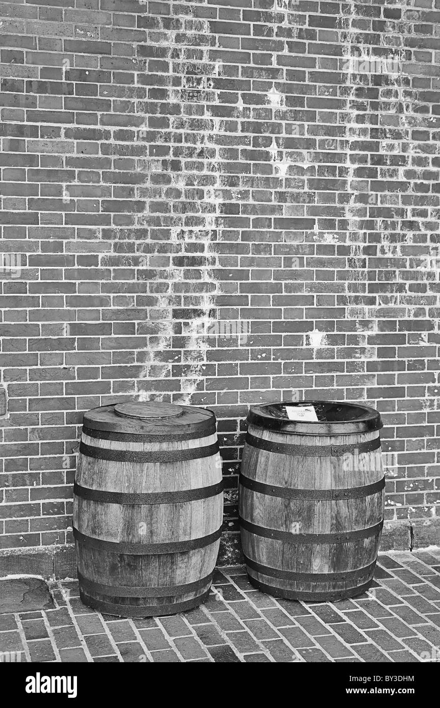 Deux barils à Fort Pulaski à Savannah, Géorgie. Banque D'Images