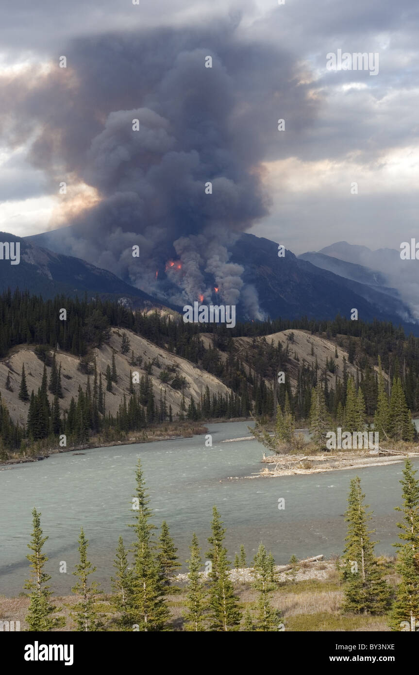 Feu de brûler dans Canadian Rockies Banque D'Images