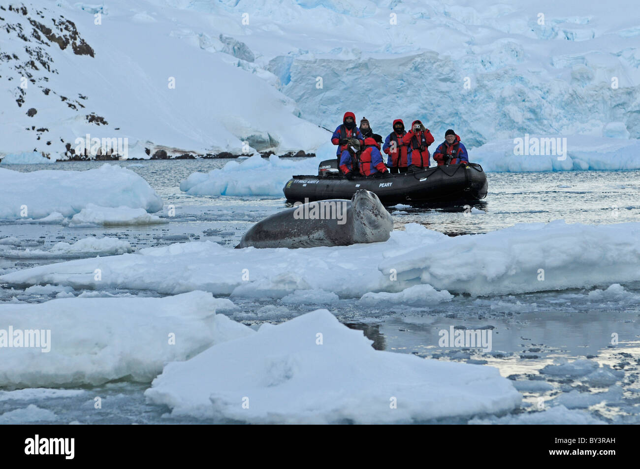 Les touristes en zodiac l'observation d'un Leopard seal Hydruga leptonyx couché sur la banquise, Canal Lemaire, Péninsule Antarctique, l'Antarctique Banque D'Images