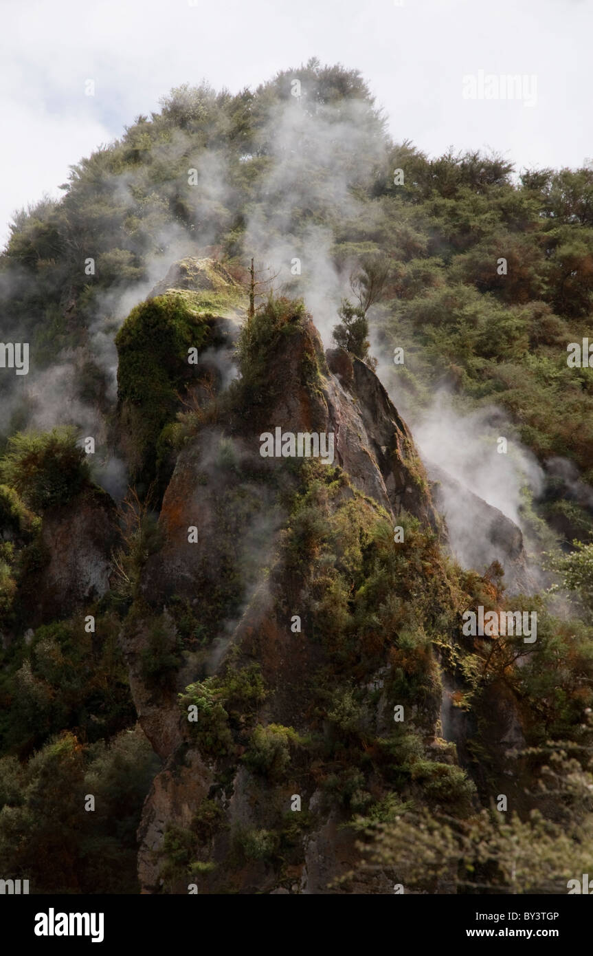 L'éruption du Mont Tarawera en juin 1886 crée le volcanisme qu'aujourd'hui attire les touristes à la vallée de Waimangu Banque D'Images