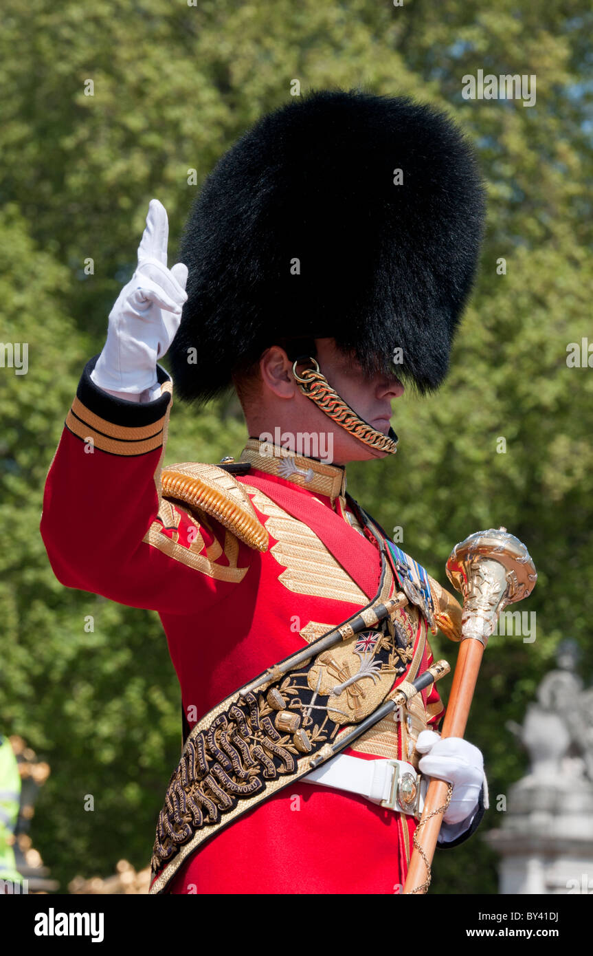 Cérémonie de la relève de la garde à Londres Banque D'Images