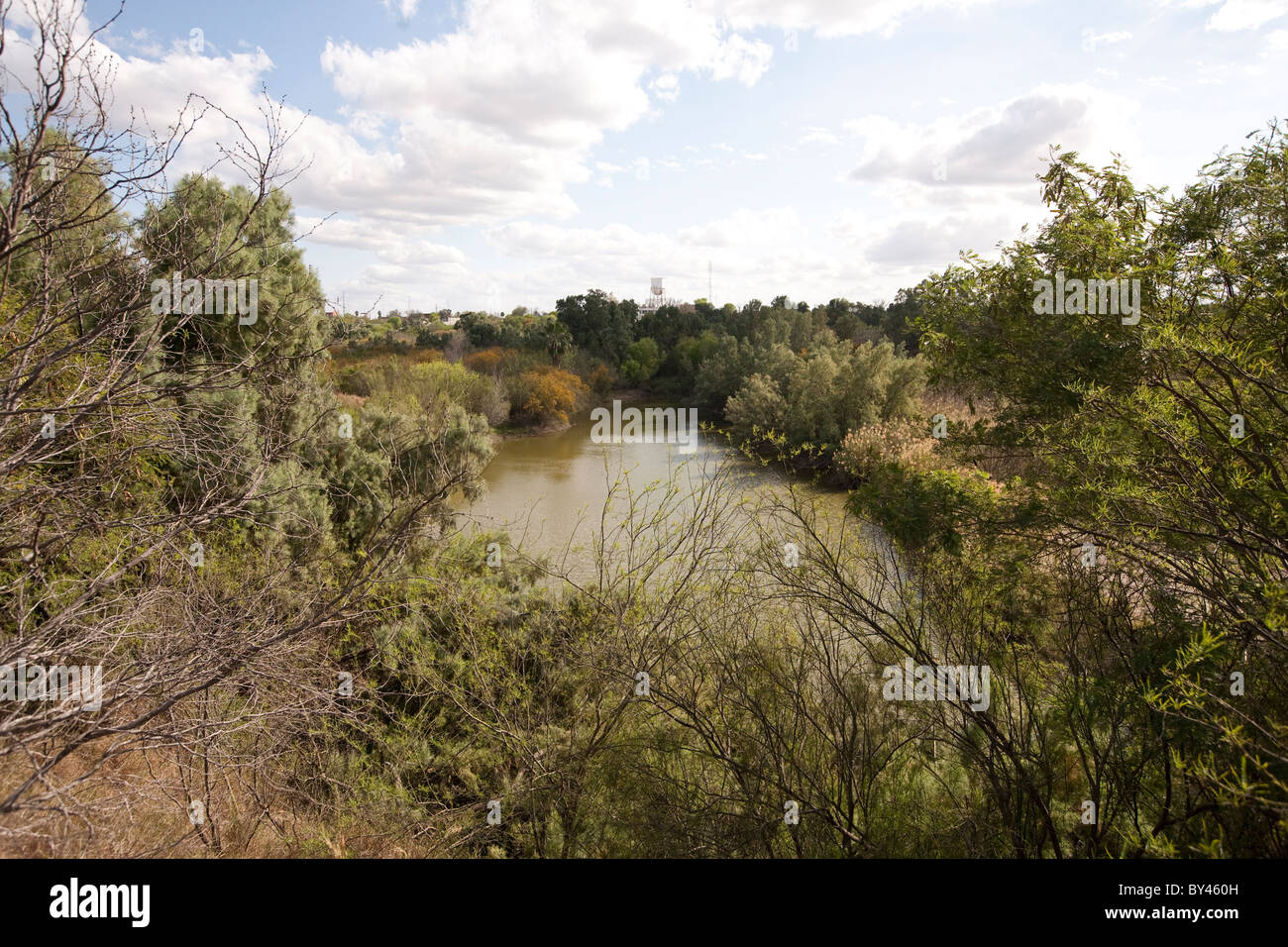 Rives boisées de la rivière Rio Grande, frontière entre les États-Unis et le Mexique, à partir de la partie américaine, près du centre-ville Lardeo, Texas, États-Unis Banque D'Images