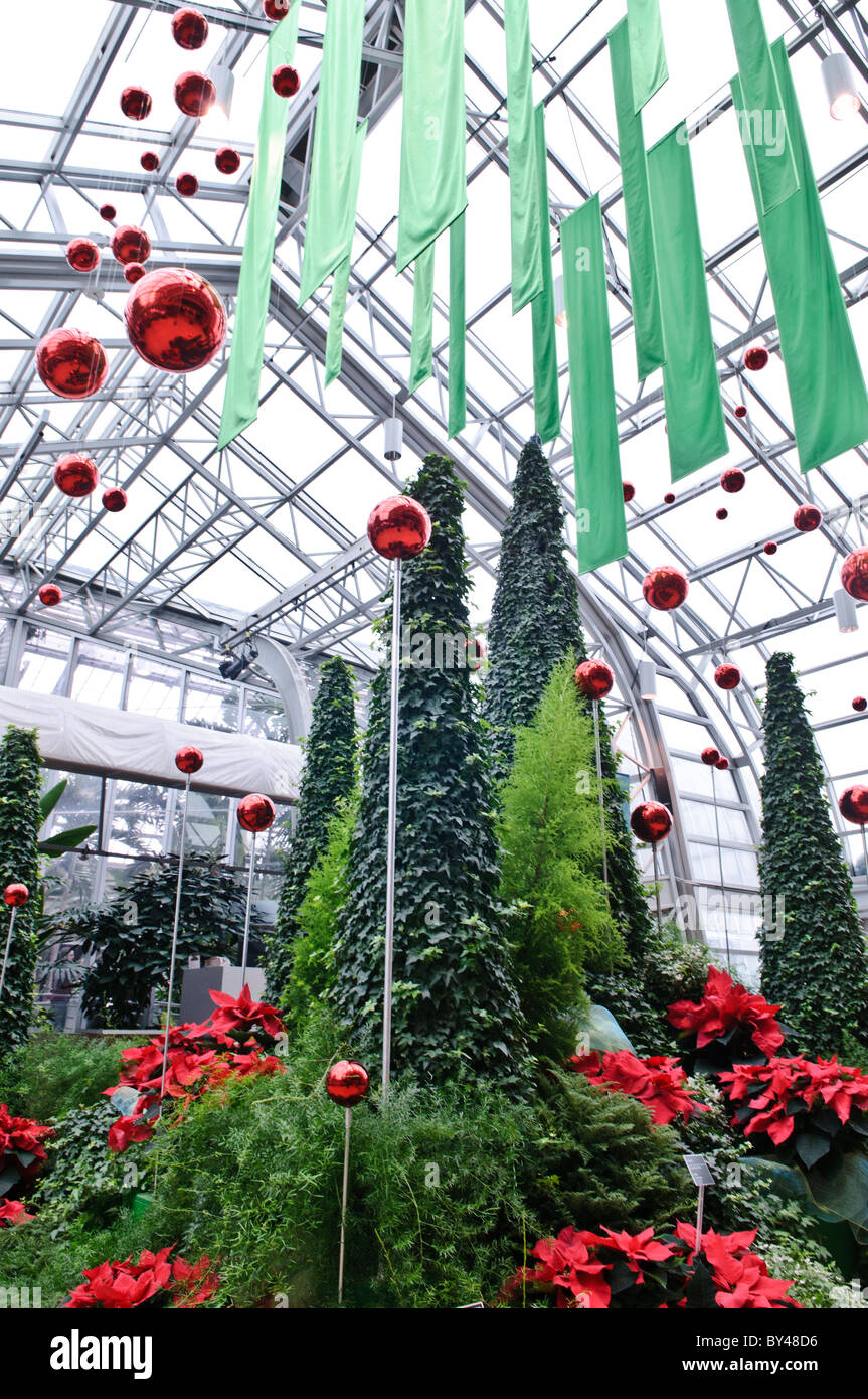 Jardin botanique de Montréal décorations de Noël Montréal Canada // MONTRÉAL, Canada — les arbres sont décorés pour Noël à l'intérieur du jardin botanique de Montréal, l'un des plus grands jardins botaniques intérieurs au monde, avec une gamme de différents environnements allant des orchidées aux épices en passant par les cactus. Banque D'Images