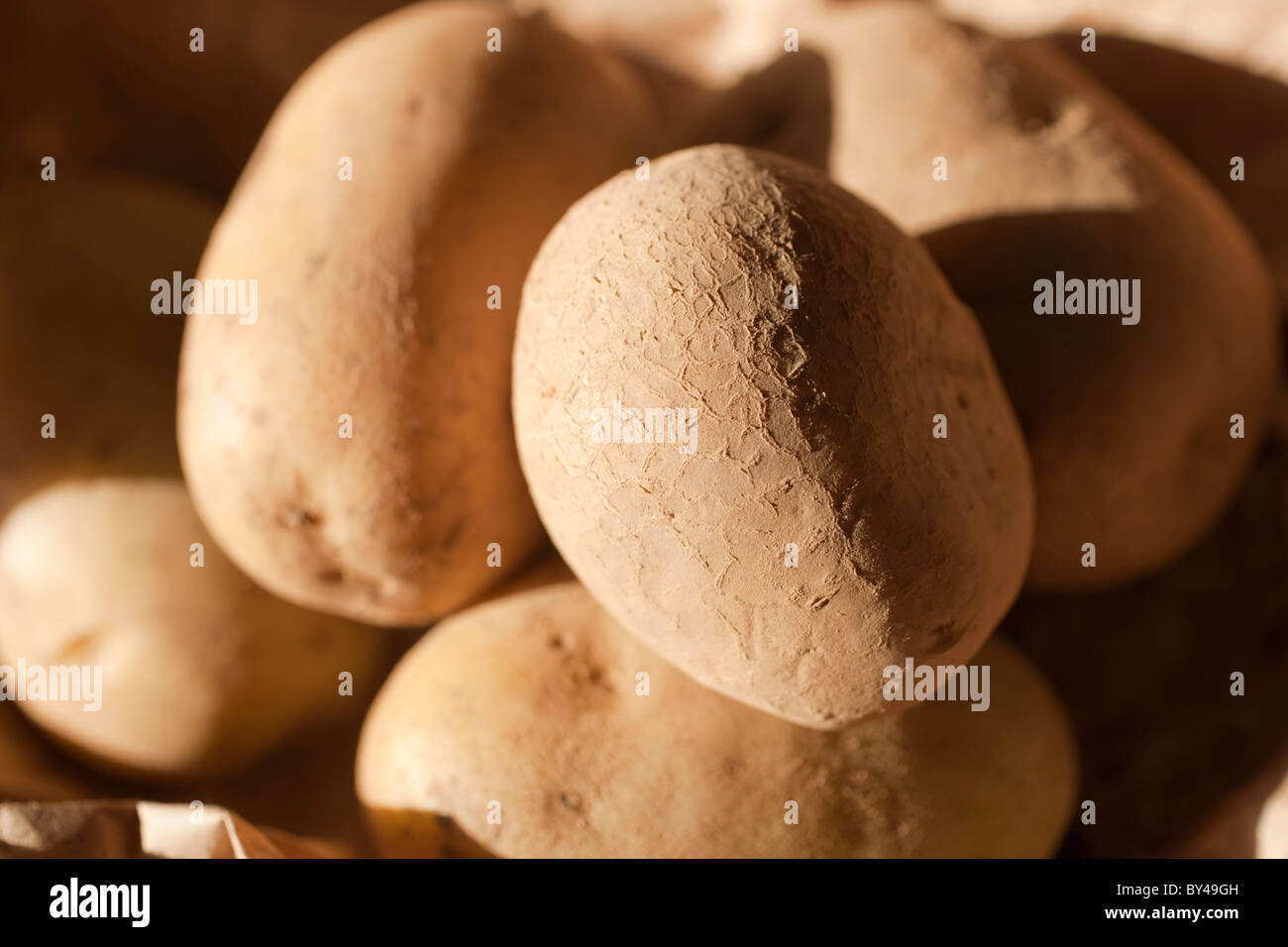 De pommes de terre d'Entracque, Piemonte, Italie Banque D'Images