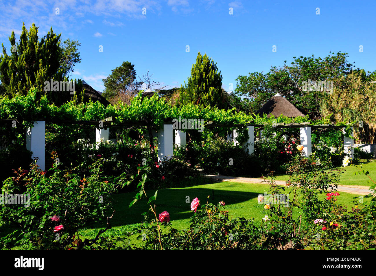 Un jardin de fleurs. Prince Albert, Afrique du Sud. Banque D'Images