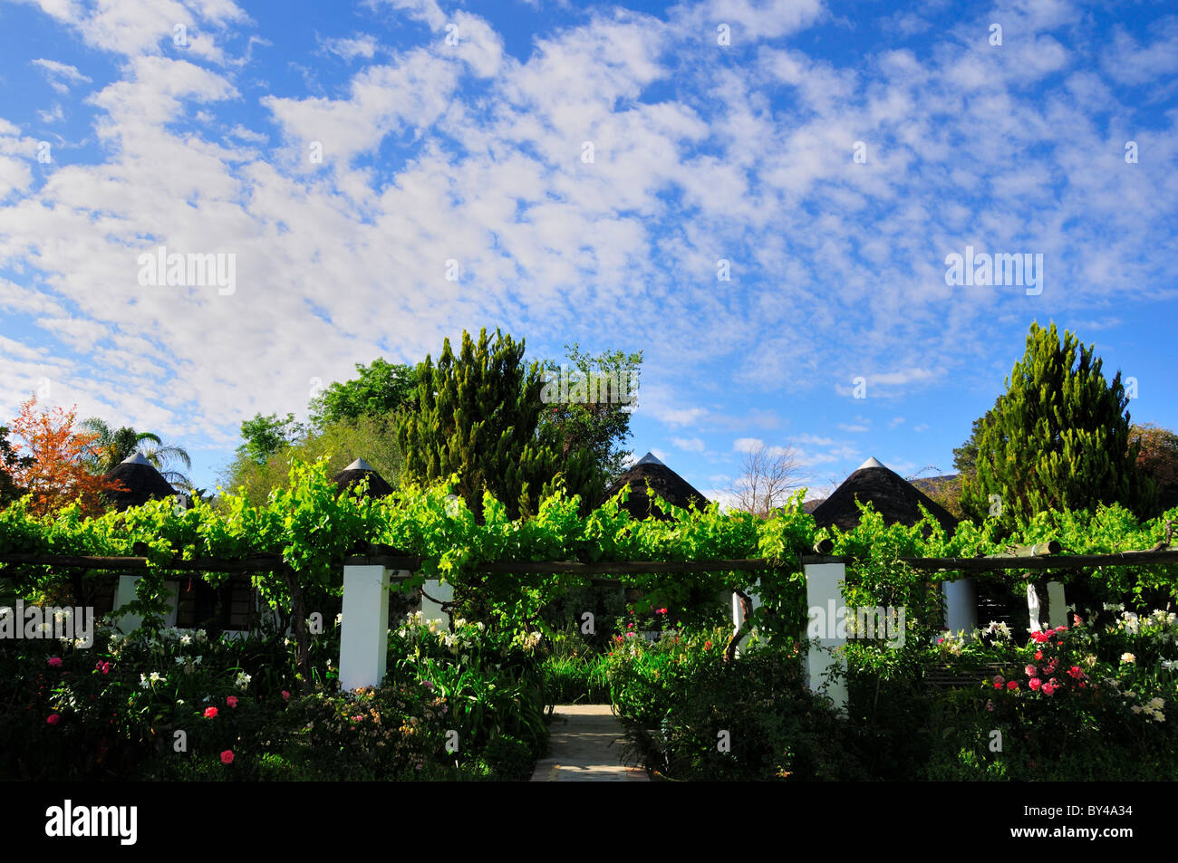 Un jardin de fleurs. Prince Albert, Afrique du Sud. Banque D'Images