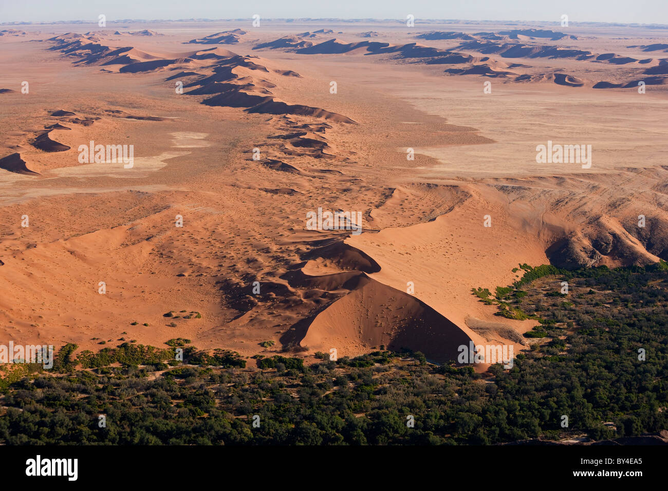 Désert et terres fertiles vert, Désert du Namib, Namibie vue aérienne Banque D'Images