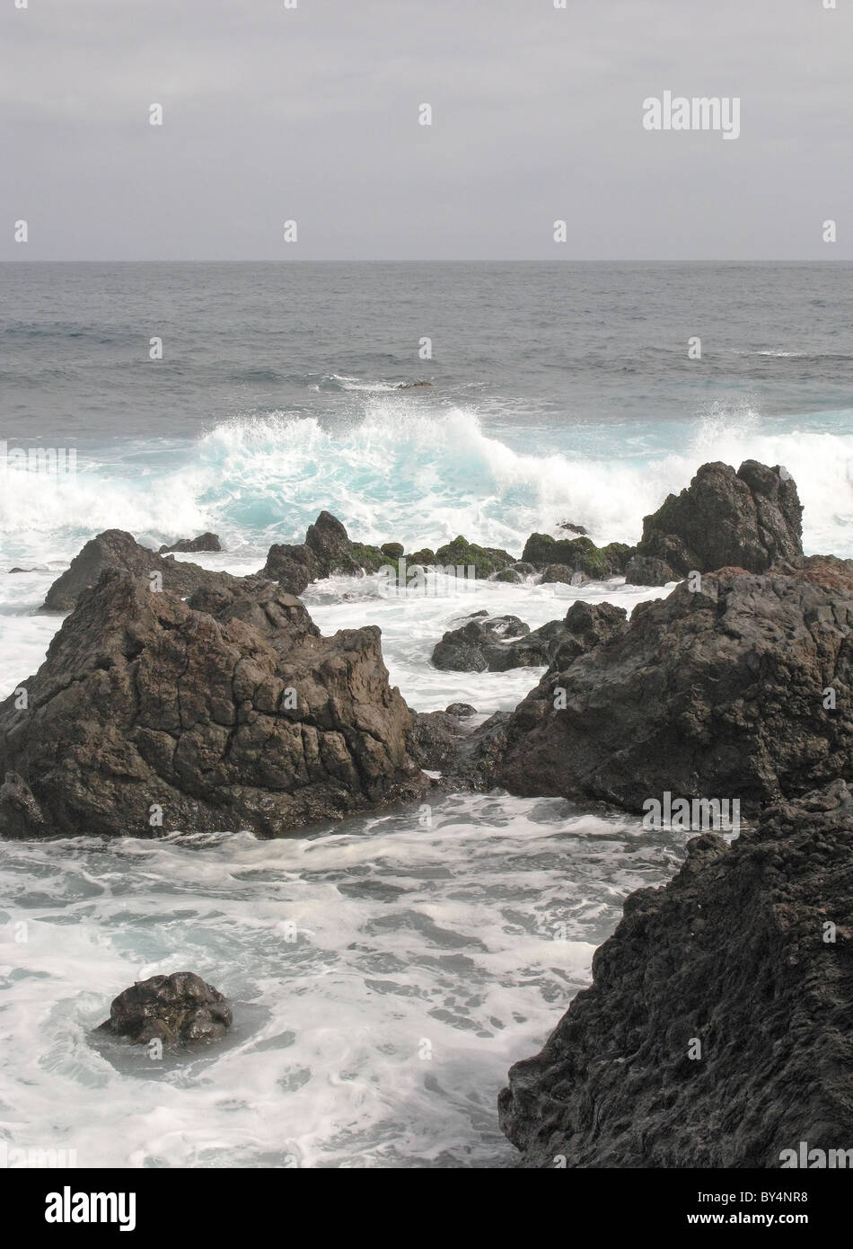 Rupture de la mer sur les roches volcaniques, Puerto de la cruz, tenerife, islas Canarias (Iles Canaries, Espagne). Banque D'Images