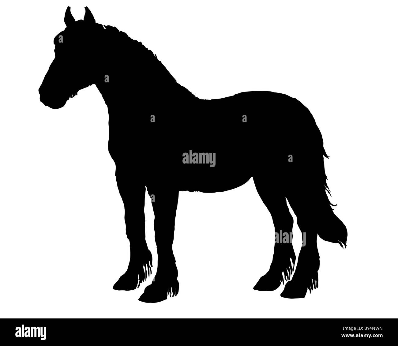 Silhouette de cheval Banque D'Images