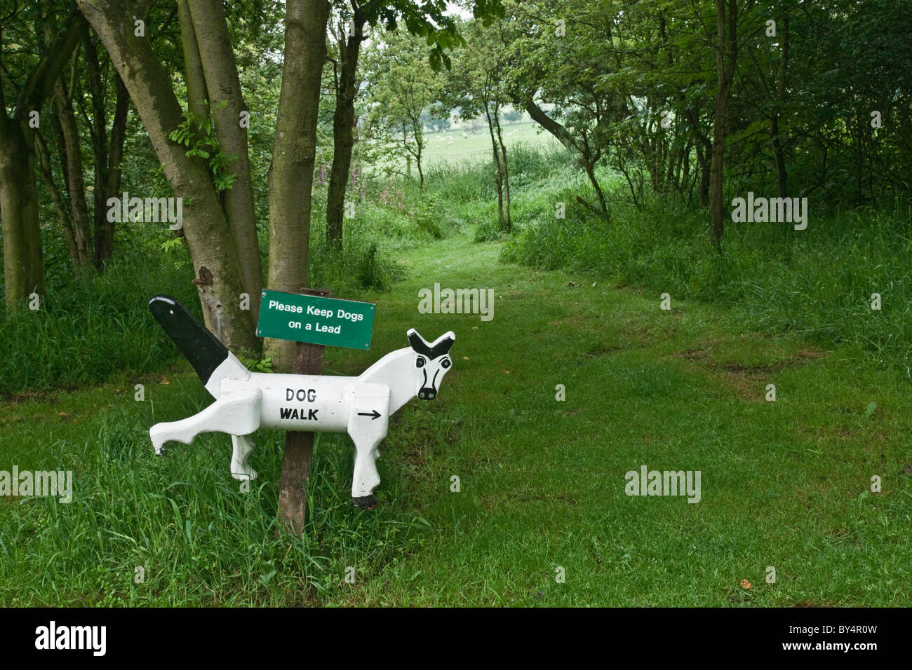 Panneau indiquant l'aire de promenade chien désigné à une caravane à l'Ebury Hill dans le Shropshire. Banque D'Images