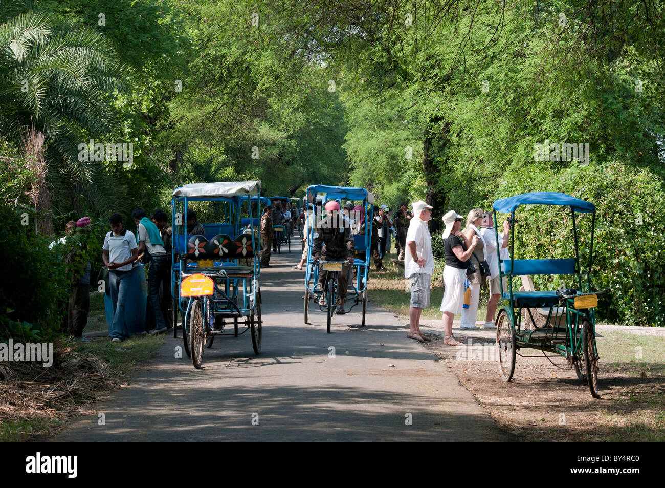 Vélos-pousse à Bharatpur National Park Banque D'Images