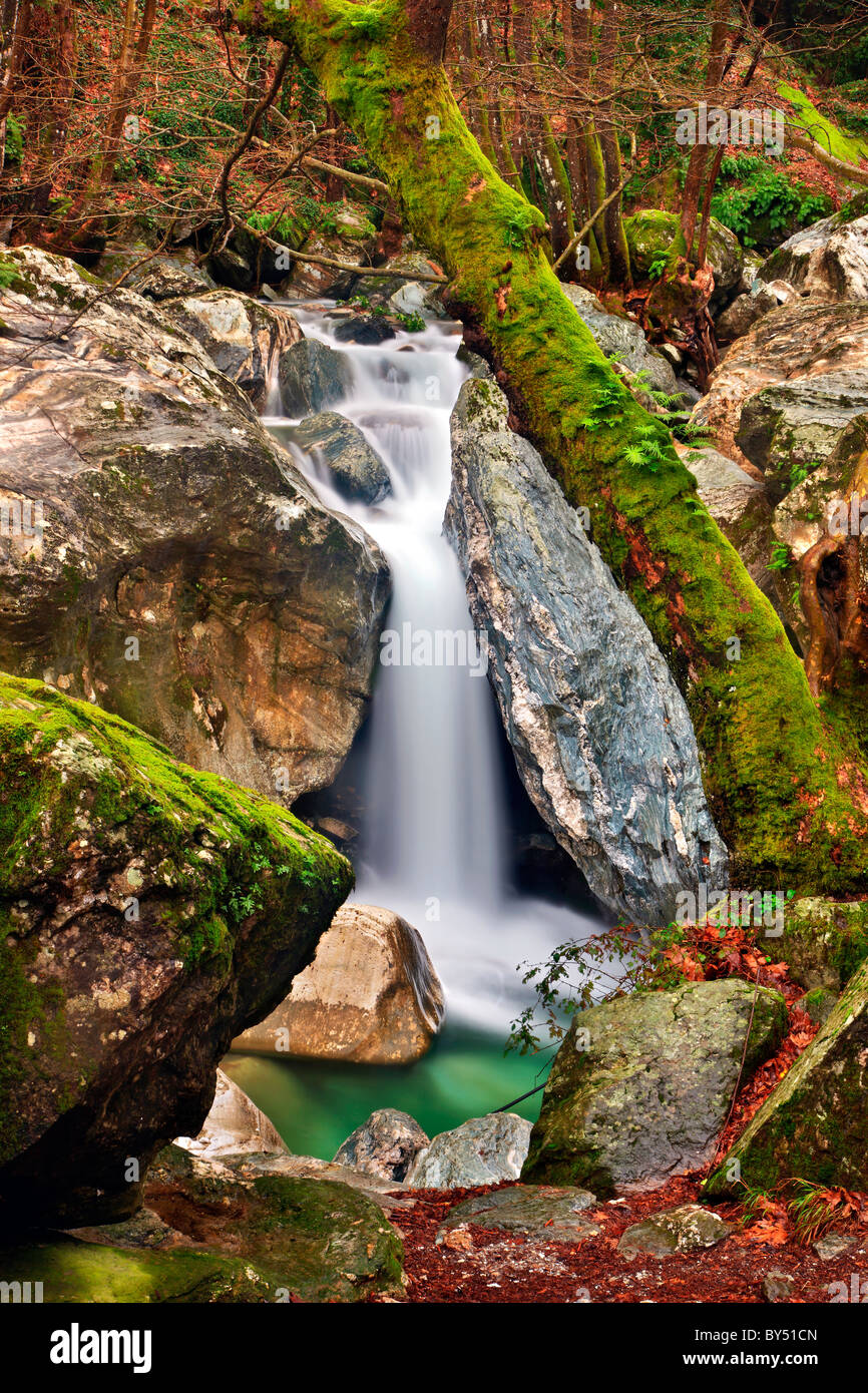 Une petite cascade dans Mega Rema , très proche de la magnifique village de Mouresi sur le côté est de la montagne de Pelion, Grèce Banque D'Images