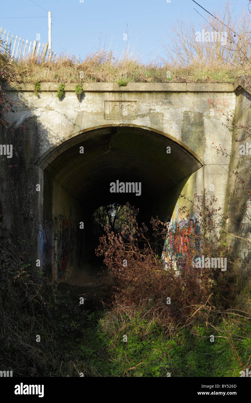 Le tunnel ferroviaire pour l'Davington light railway dans le Kent Banque D'Images