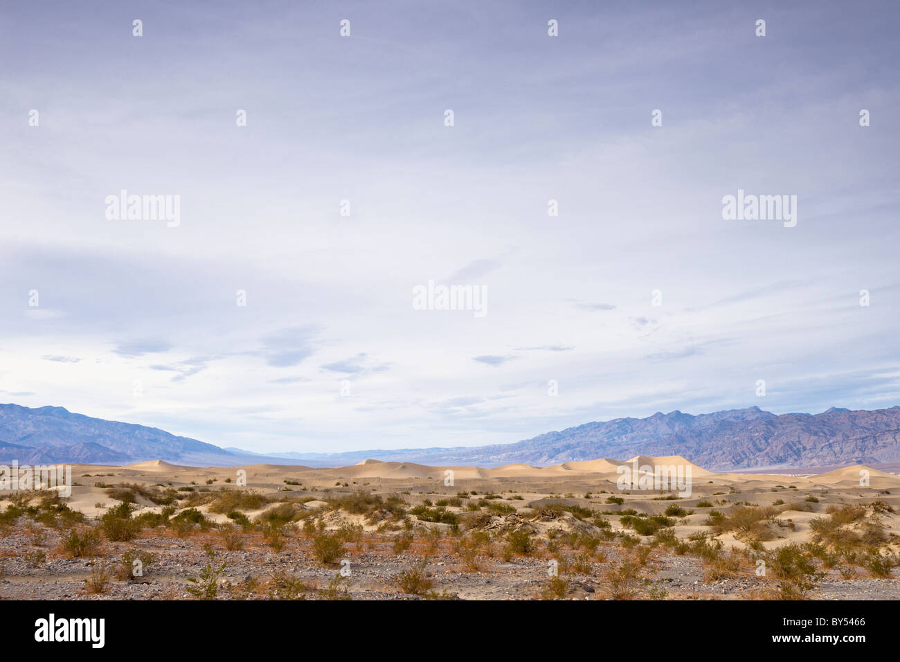 Mesquite Flat dunes de sable avec l'Amargosa dans les montagnes du Parc National de la vallée de la mort, désert de Mojave, Californie, USA. Banque D'Images