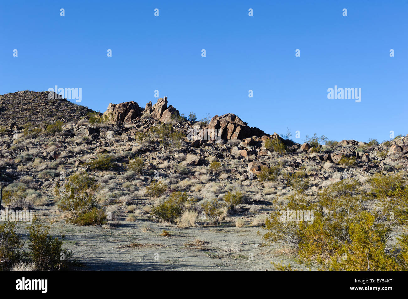 Chukar zone de chasse dans l'ouest du désert de Mojave, près de Barstow, CA Banque D'Images