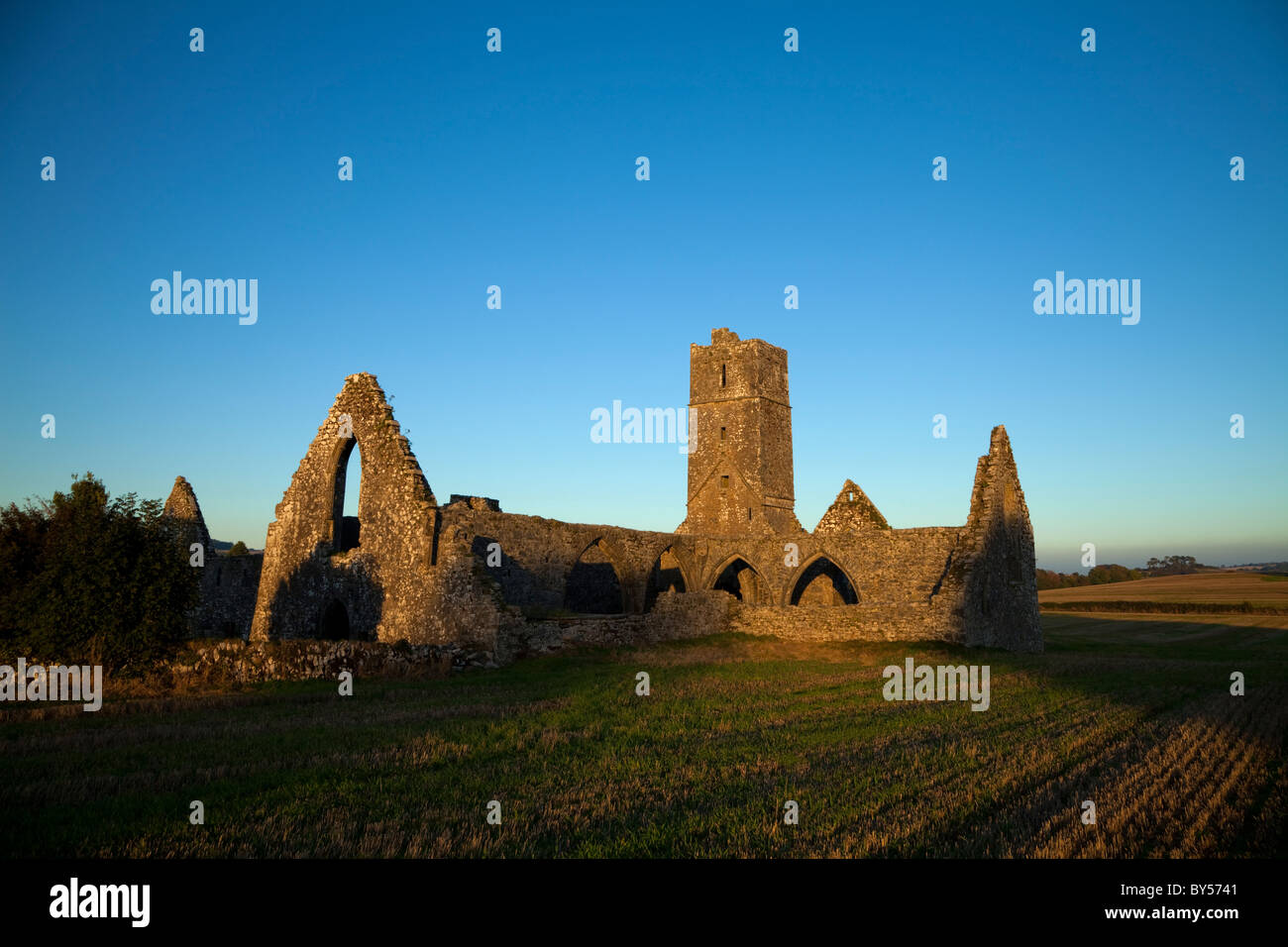 Kilcrea couvent franciscain (1465), comté de Cork, Irlande Banque D'Images