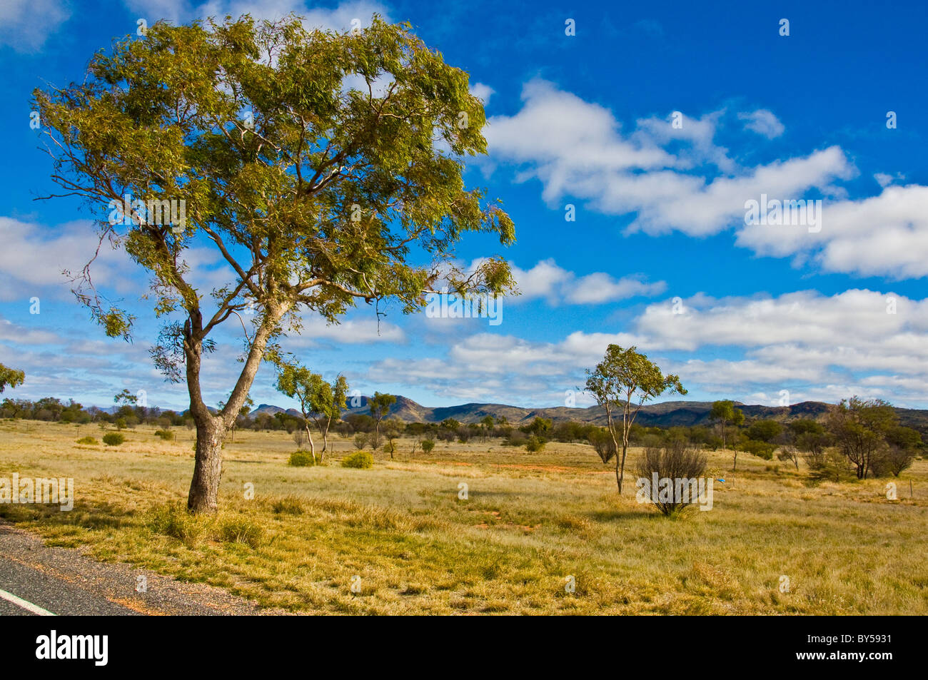 Dans le paysage australien northerm territory, Australia Banque D'Images