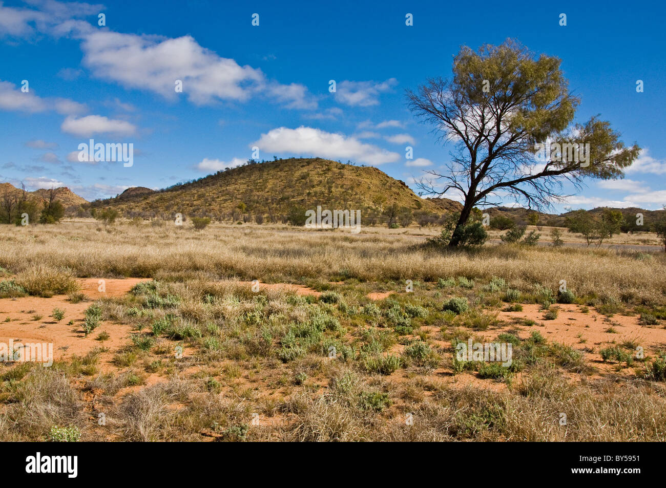 Dans le paysage australien northerm territory, Australia Banque D'Images
