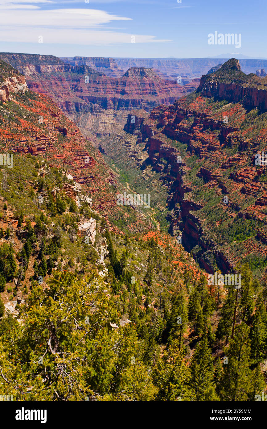 Le Parc National du Grand Canyon Banque D'Images