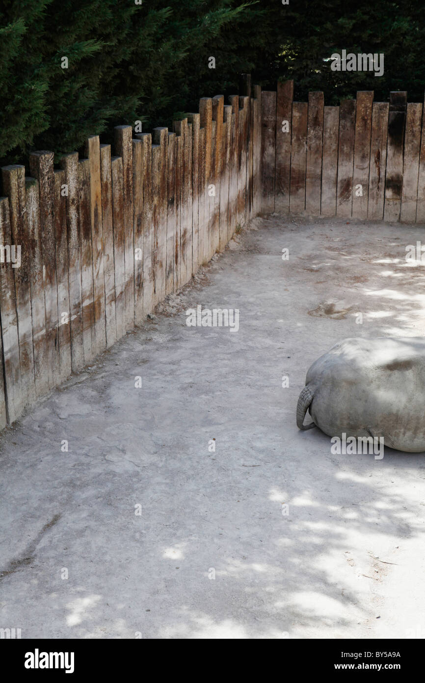 Vue d'un hippopotame couché dans un boîtier zoo Banque D'Images