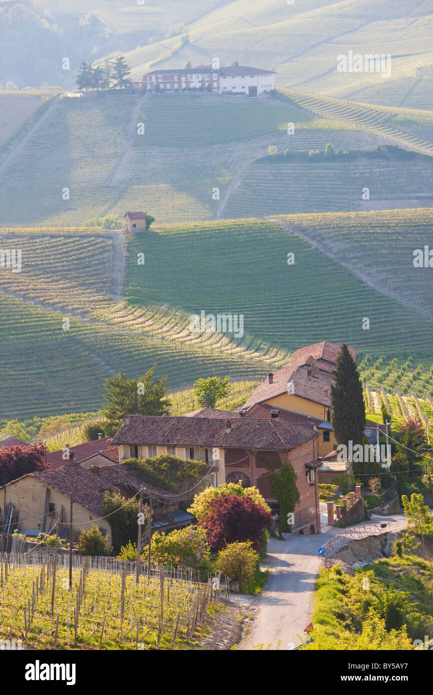 Les pentes couvertes de vignobles, nr Castiglione Falletto, Piémont (ou Piémont ou Piedmonte), Italie Banque D'Images