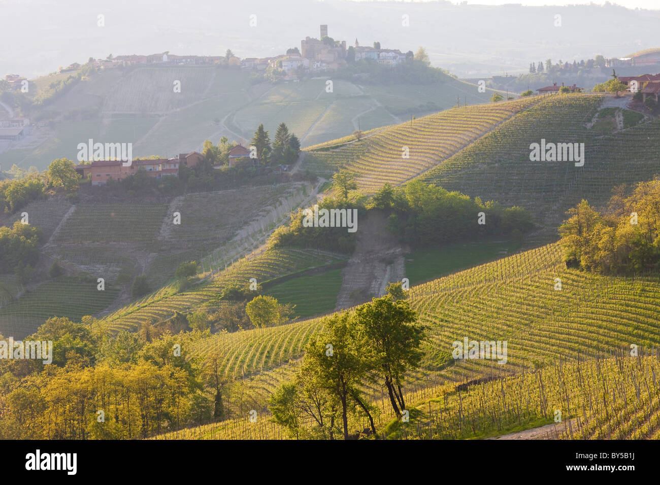 Vue de Serralunga d'Alba, Piémont (ou Piemonte ou Piedmonte), Italie Banque D'Images