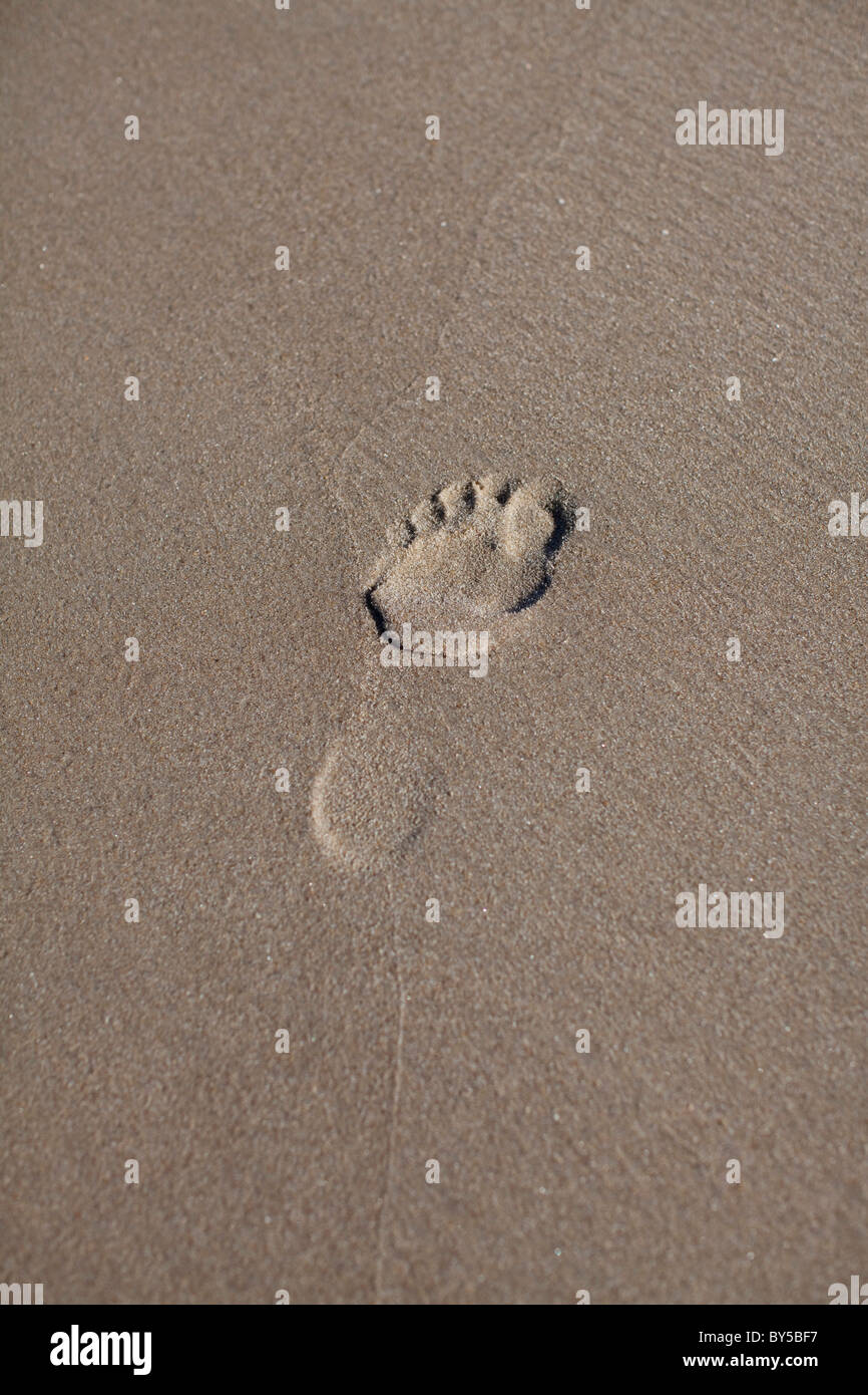 Une empreinte dans le sable Banque D'Images