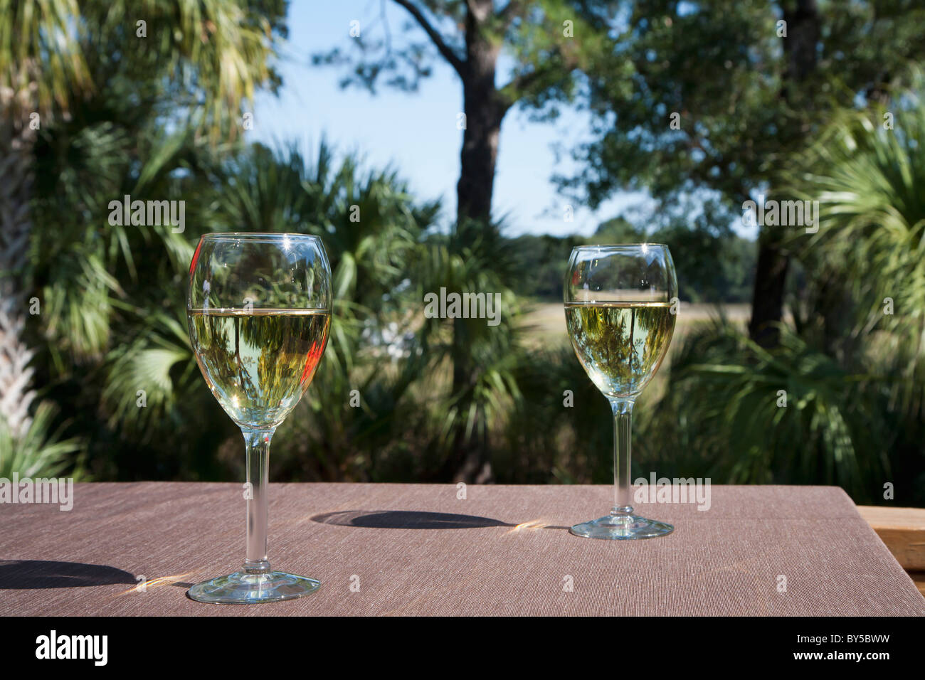 Deux verres de vin blanc sur une table, à l'extérieur Banque D'Images