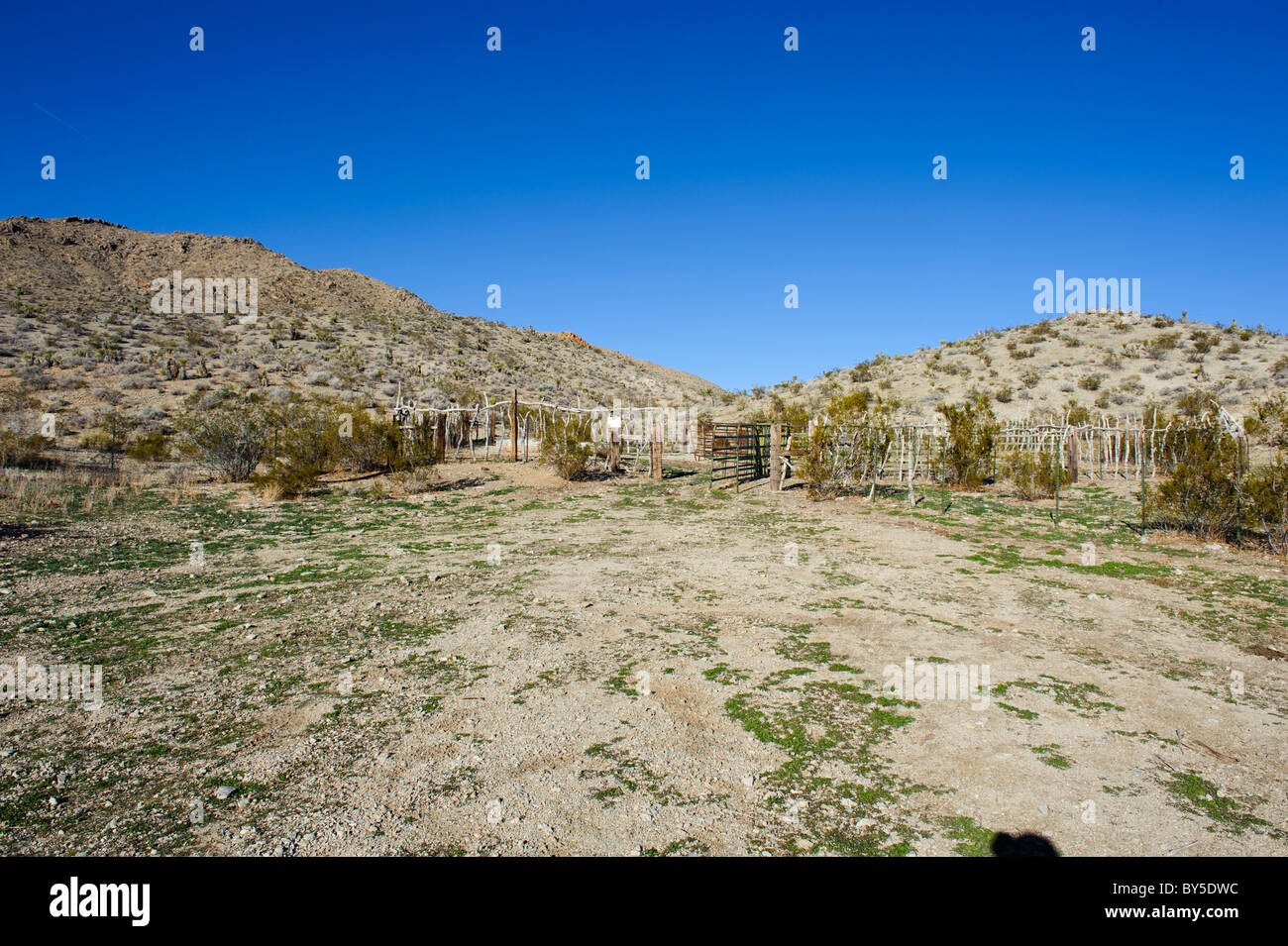 Chukar zone de chasse dans l'ouest du désert de Mojave, près de Barstow, CA Banque D'Images