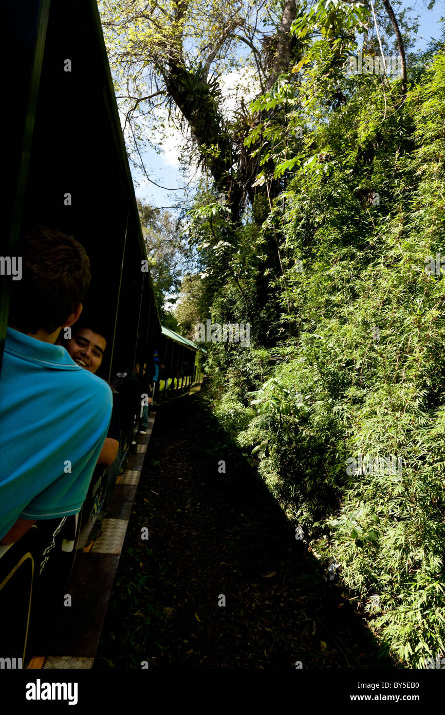 Iguazu Falls vu de la province de Misiones, en Argentine. Train jusqu'à la Garganta del Diablo (Gorge du Diable) Banque D'Images