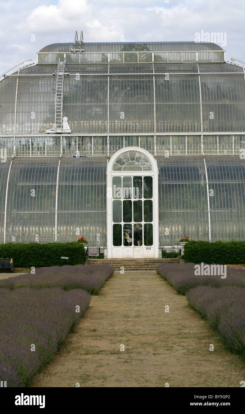La Palm House, Royal Botanical Gardens, Kew. Banque D'Images