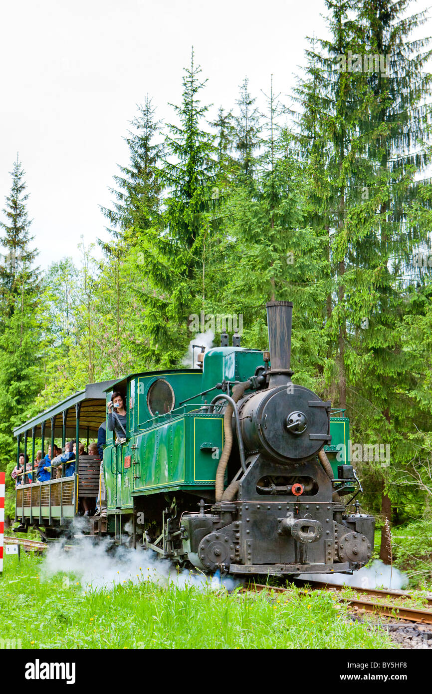 Train à vapeur, musée de village de Kysuce, Vychylovka, Slovaquie Banque D'Images