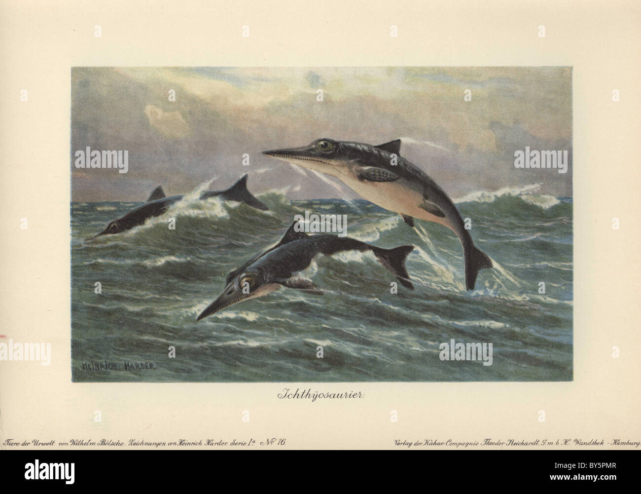 Ichthyosaurus (du grec "poisson" d'Ichthys et sauros 'age') est un genre éteint d'ichthyosaure du début du Jurassique. Banque D'Images