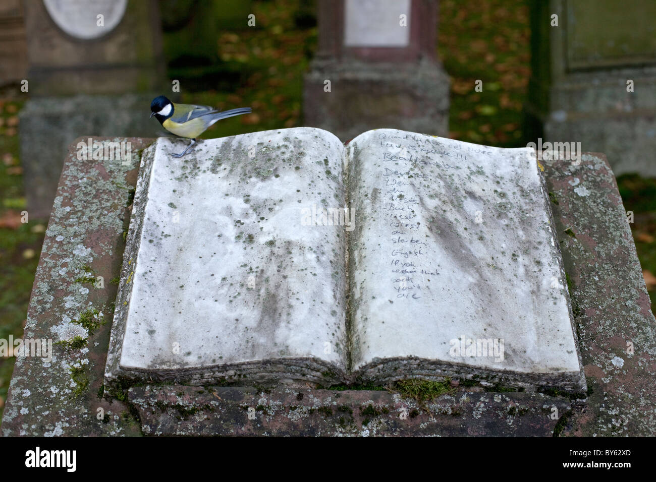 Livre ouvert d'une pierre tombale, marker Banque D'Images