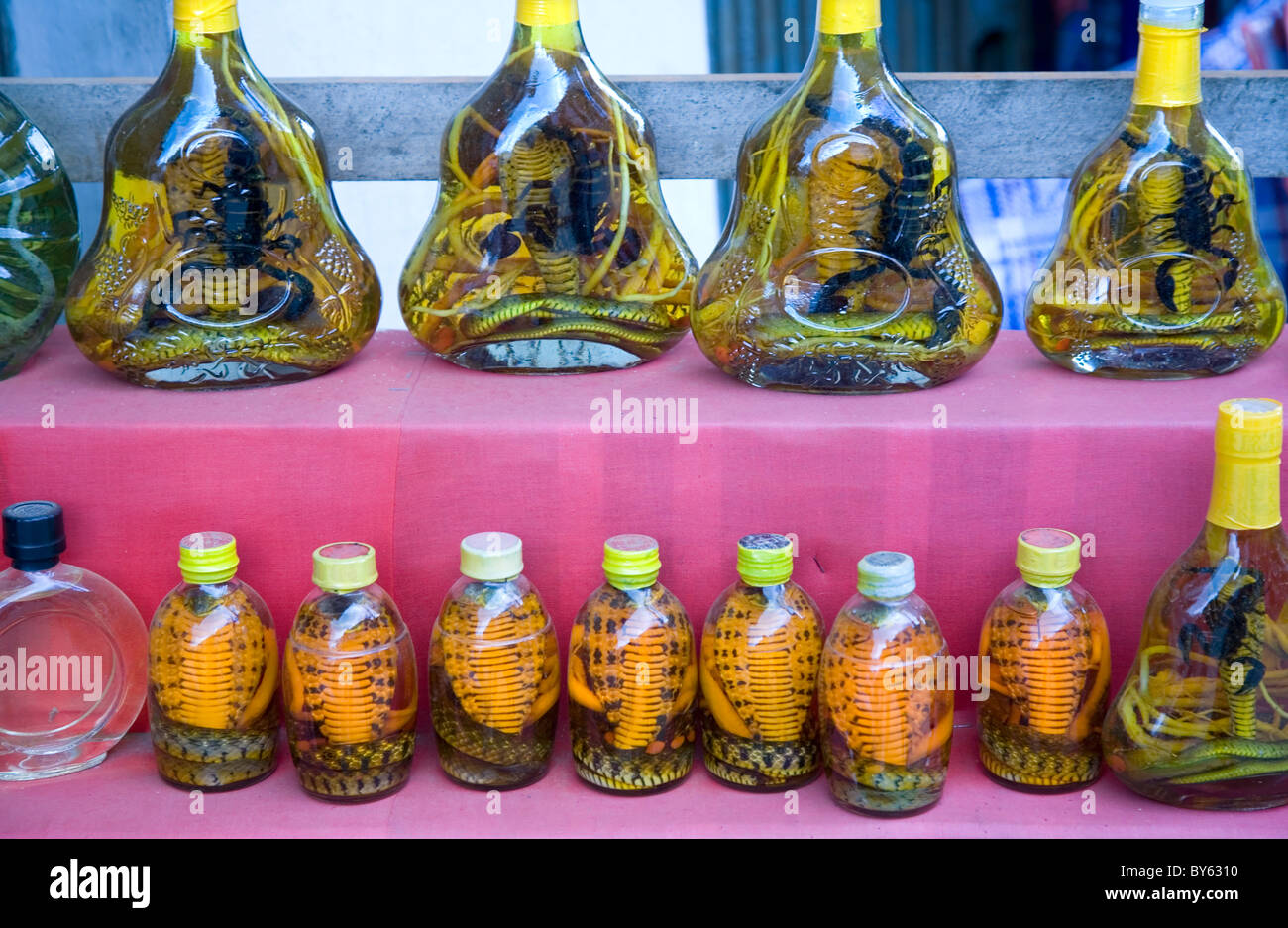 Boissons en bouteilles ( scorpion et cobra liquor) dans une boutique de cadeaux. Sapa, province de Lao Cai, Vietnam. Banque D'Images
