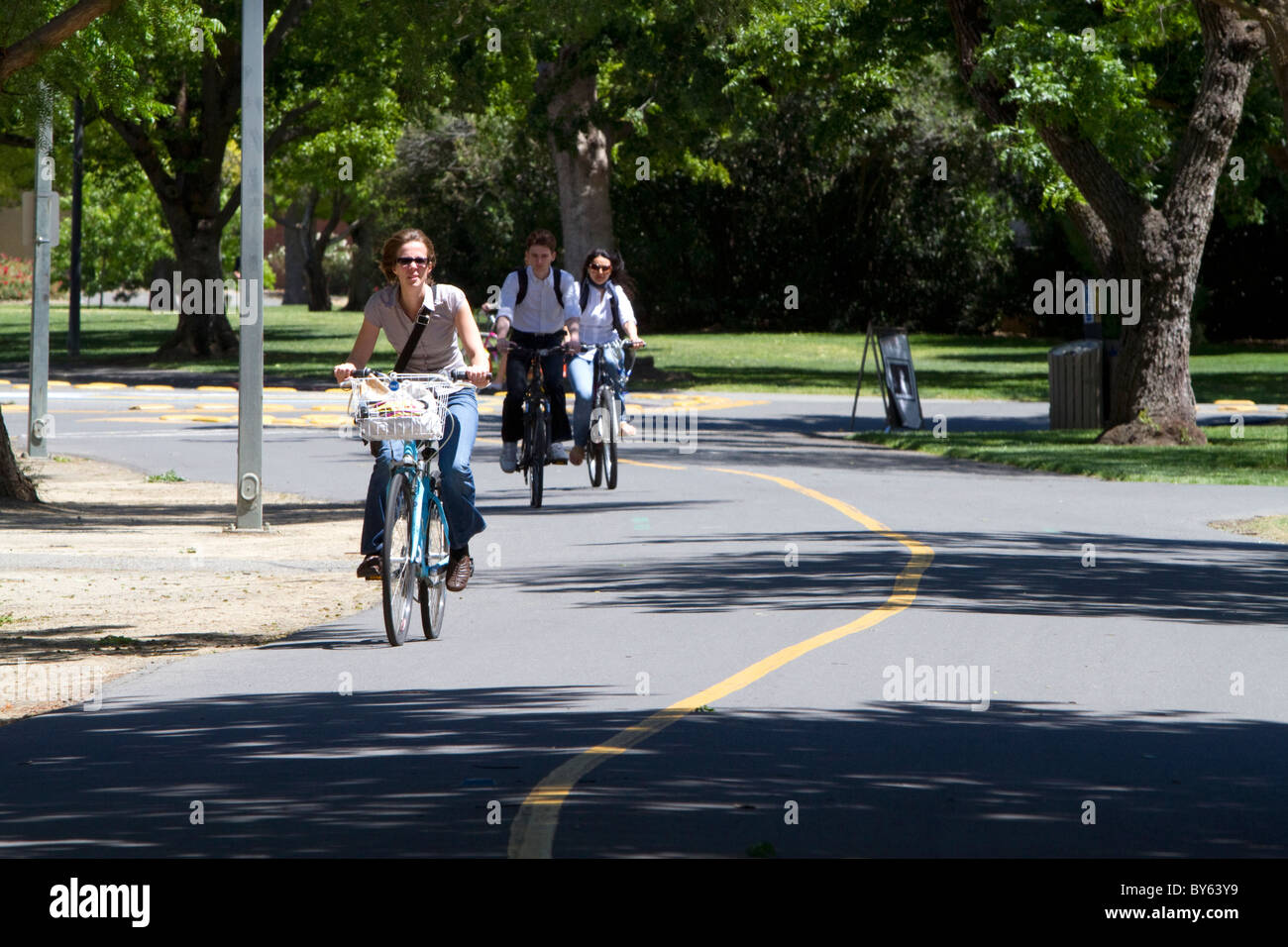 Bike-seulement les chemins d'accès sur le campus de UC Davis, Californie, USA. Banque D'Images