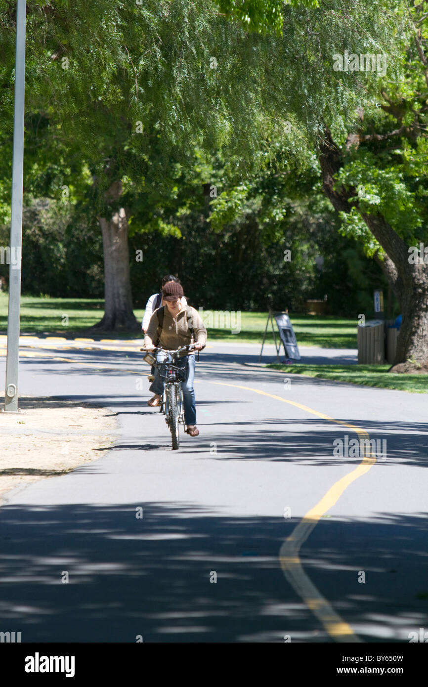 Bike-seulement les chemins d'accès sur le campus de UC Davis, Californie, USA. Banque D'Images