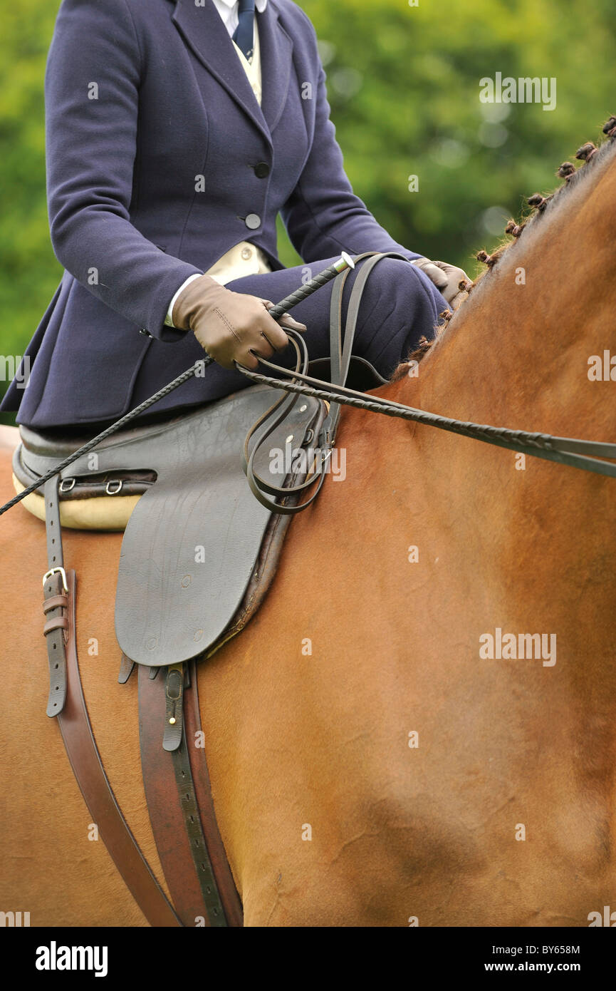 Sidesaddle rider sur un cheval Banque D'Images