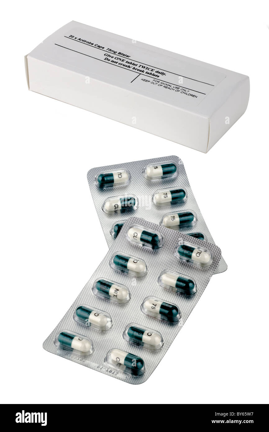 Blister de 20 gélules Antirobe et fort d'antibiotiques pour les chiens Banque D'Images