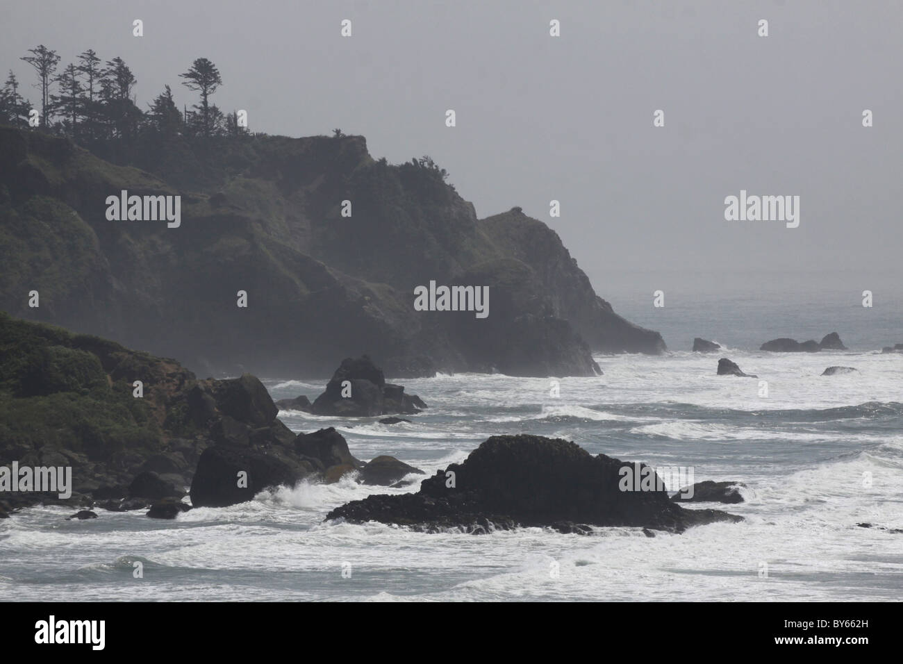 Les roches des falaises de la côte de l'Oregon brouillard bay Pacific Coast Trail Banque D'Images