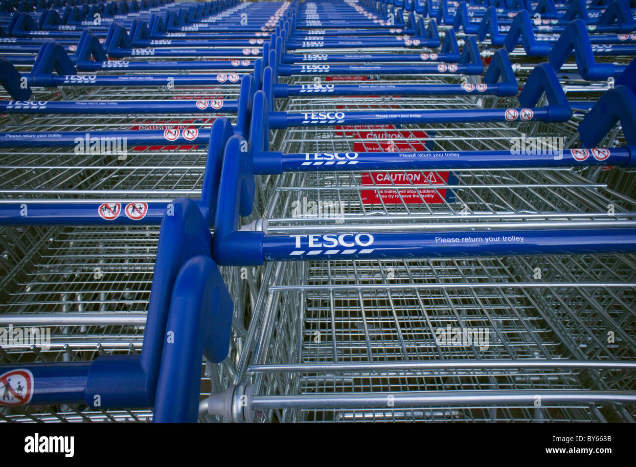 Rangées de chariots tesco bleu en stationnement. Seulement ÉDITORIALE Banque D'Images